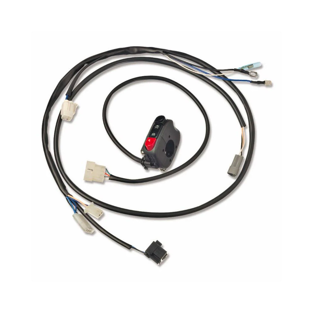 Faisceau électrique simplifié Beta RR / Racing 2T